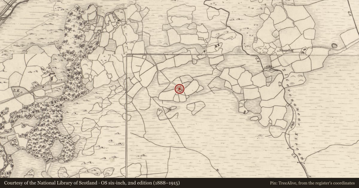 Ordnance Survey six-inch map, 2nd edition (1888–1915) covering the location of Field boundary, Gort An Tsléibhe, County Kerry, with a pin at the register's coordinates