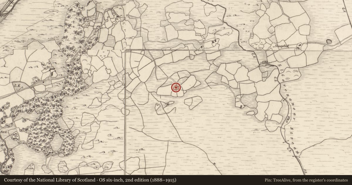 Ordnance Survey six-inch map, 2nd edition (1888–1915) covering the location of Hut site, Gort An Tsléibhe, County Kerry, with a pin at the register's coordinates