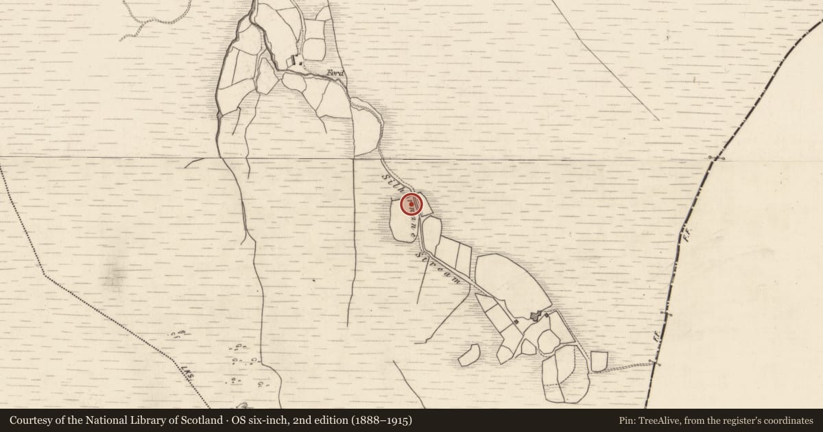 Ordnance Survey six-inch map, 2nd edition (1888–1915) covering the location of Road - road/trackway, Derryreag, County Kerry, with a pin at the register's coordinates