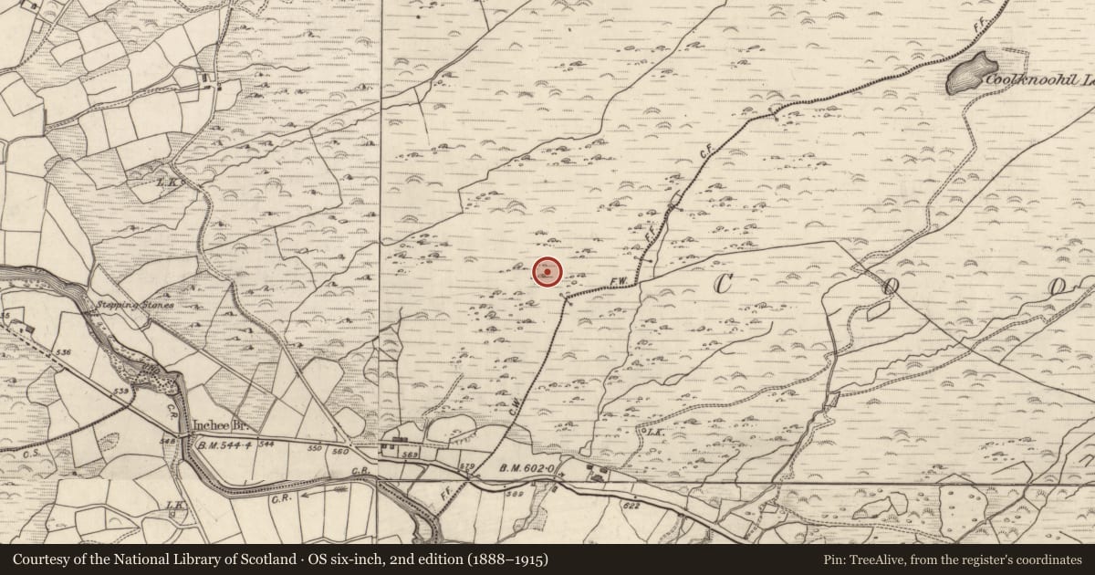 Ordnance Survey six-inch map, 2nd edition (1888–1915) covering the location of Building, Inchee, County Kerry, with a pin at the register's coordinates
