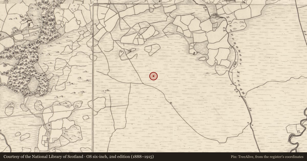 Ordnance Survey six-inch map, 2nd edition (1888–1915) covering the location of Standing stone - pair, Gort An Tsléibhe, County Kerry, with a pin at the register's coordinates