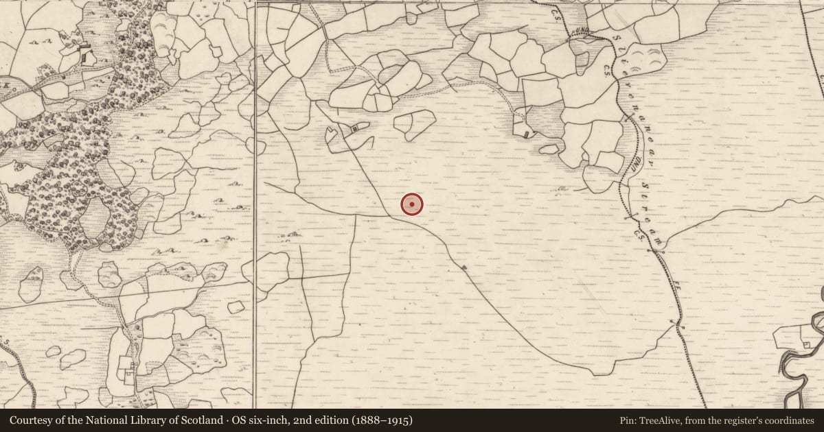 Ordnance Survey six-inch map, 2nd edition (1888–1915) covering the location of Standing stone, Gort An Tsléibhe, County Kerry, with a pin at the register's coordinates