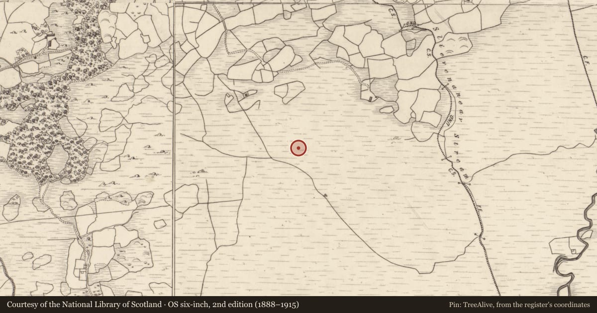 Ordnance Survey six-inch map, 2nd edition (1888–1915) covering the location of Cairn - radial-stone cairn, Gort An Tsléibhe, County Kerry, with a pin at the register's coordinates