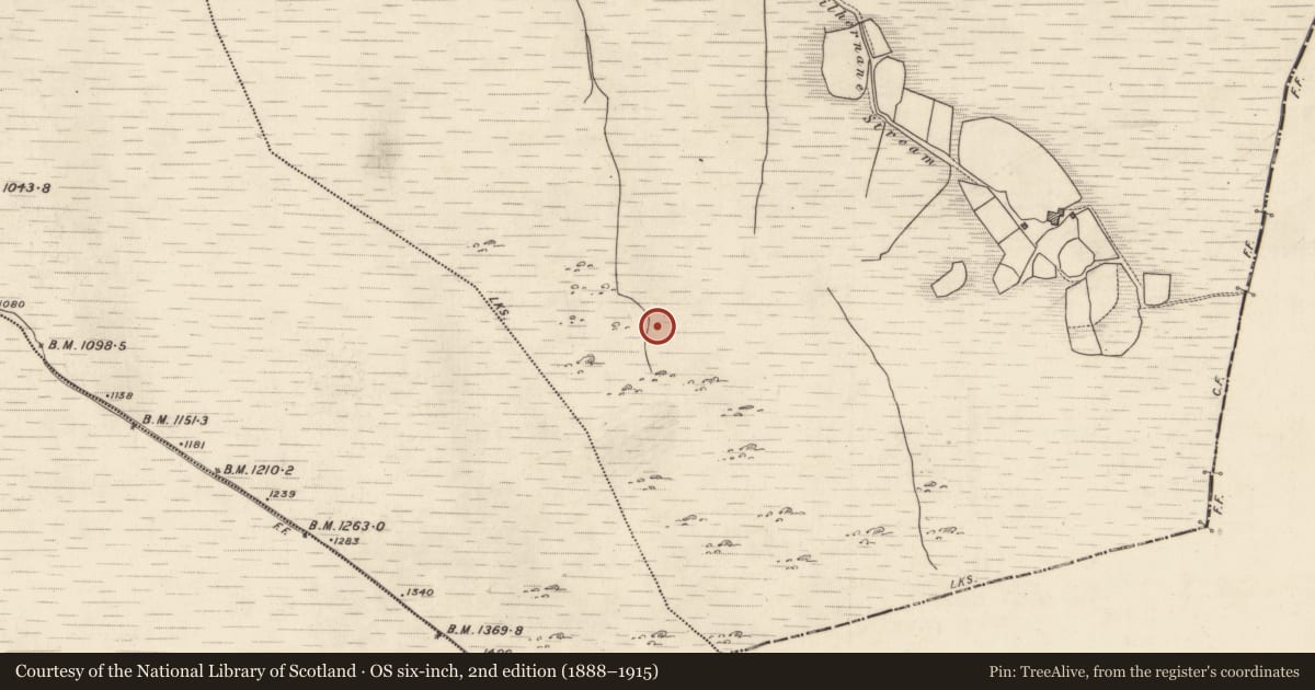 Ordnance Survey six-inch map, 2nd edition (1888–1915) covering the location of Megalithic structure, Derryreag, County Kerry, with a pin at the register's coordinates