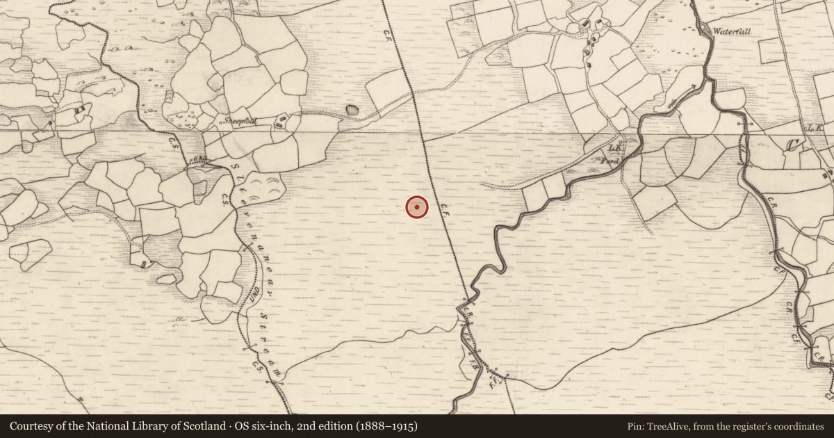Ordnance Survey six-inch map, 2nd edition (1888–1915) covering the location of Standing stone, Gortalicka, County Kerry, with a pin at the register's coordinates