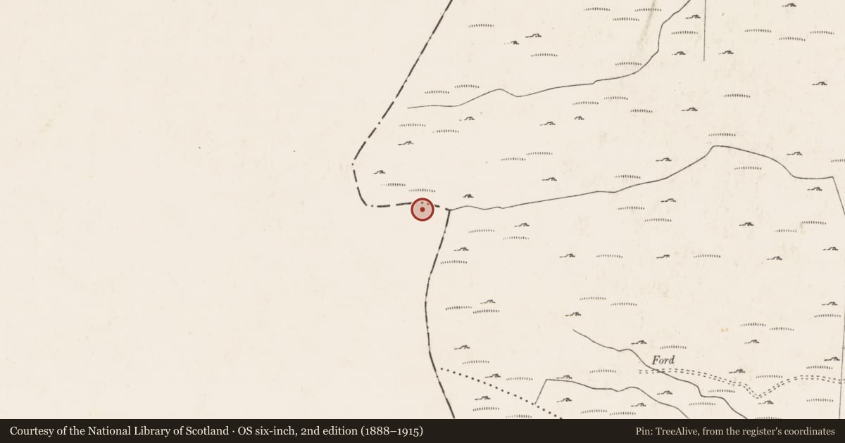 Ordnance Survey six-inch map, 2nd edition (1888–1915) covering the location of Standing stone - pair, Inchee, County Kerry, with a pin at the register's coordinates