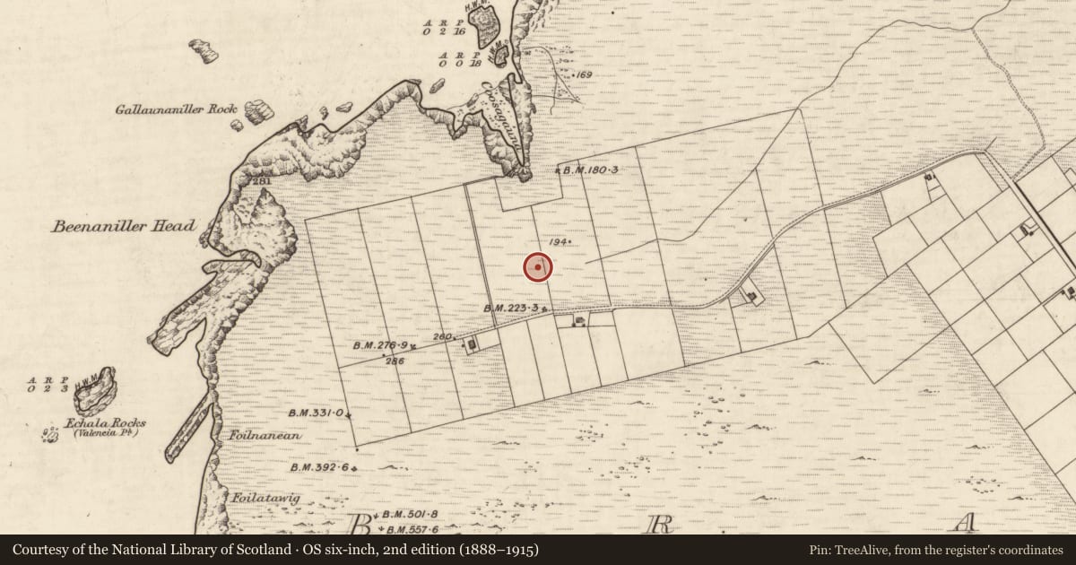 Ordnance Survey six-inch map, 2nd edition (1888–1915) covering the location of Burnt spread, Bray, County Kerry, with a pin at the register's coordinates