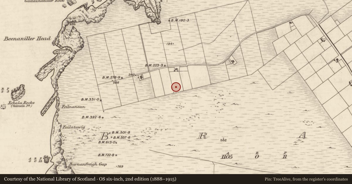 Ordnance Survey six-inch map, 2nd edition (1888–1915) covering the location of Standing stone, Bray, County Kerry, with a pin at the register's coordinates