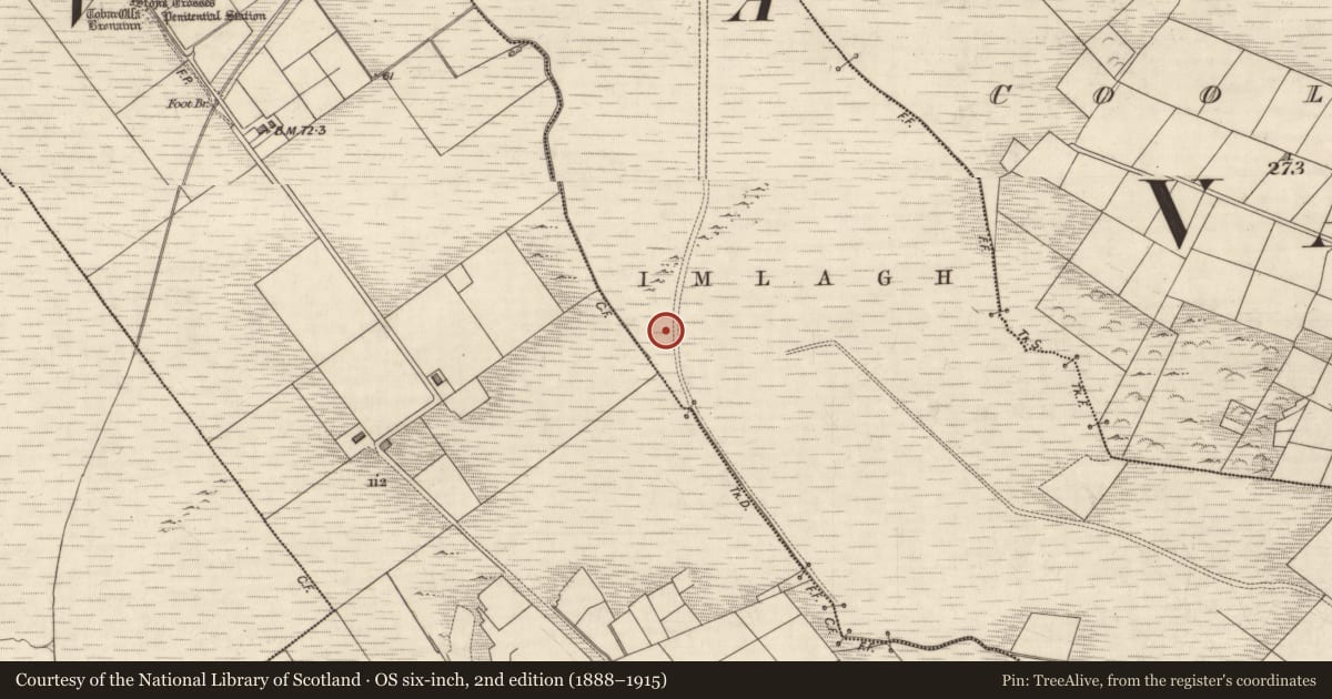 Ordnance Survey six-inch map, 2nd edition (1888–1915) covering the location of Fulacht fia, Coarha More, County Kerry, with a pin at the register's coordinates
