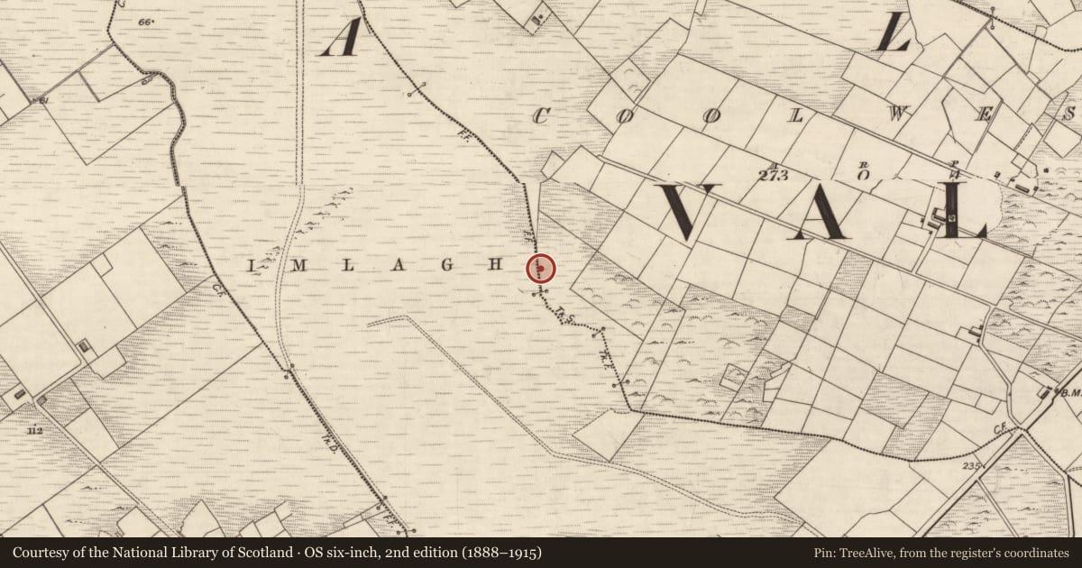 Ordnance Survey six-inch map, 2nd edition (1888–1915) covering the location of Pillar stone (present location), Cool West, County Kerry, with a pin at the register's coordinates