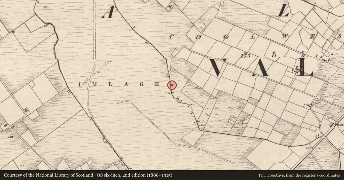 Ordnance Survey six-inch map, 2nd edition (1888–1915) covering the location of Pillar stone (present location), Cool West, County Kerry, with a pin at the register's coordinates