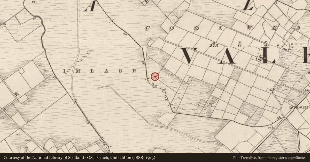 Ordnance Survey six-inch map, 2nd edition (1888–1915) covering the location of Fulacht fia, Cool West, County Kerry, with a pin at the register's coordinates