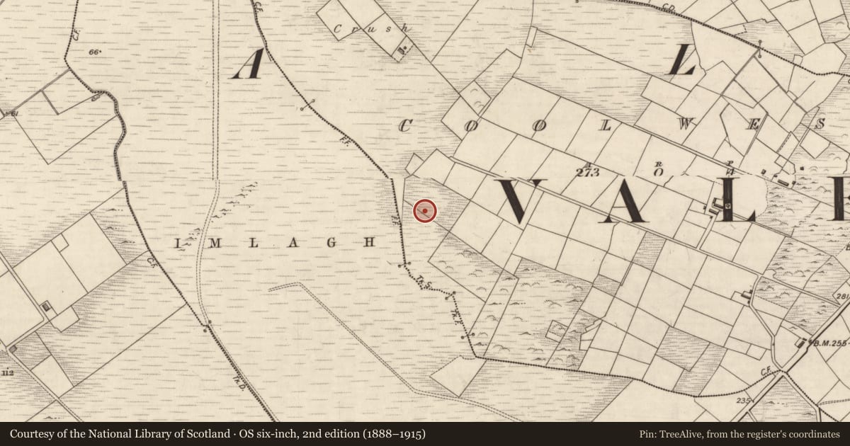 Ordnance Survey six-inch map, 2nd edition (1888–1915) covering the location of Field boundary, Cool West, County Kerry, with a pin at the register's coordinates