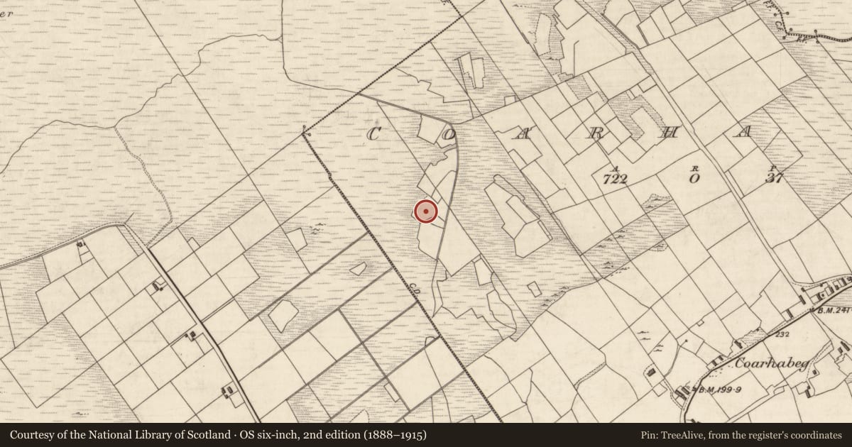 Ordnance Survey six-inch map, 2nd edition (1888–1915) covering the location of Platform - peatland, Coarha Beg, County Kerry, with a pin at the register's coordinates