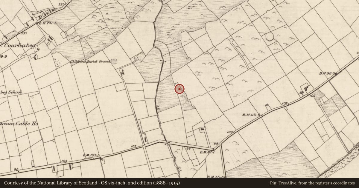 Ordnance Survey six-inch map, 2nd edition (1888–1915) covering the location of Enclosure, Coarha More, County Kerry, with a pin at the register's coordinates