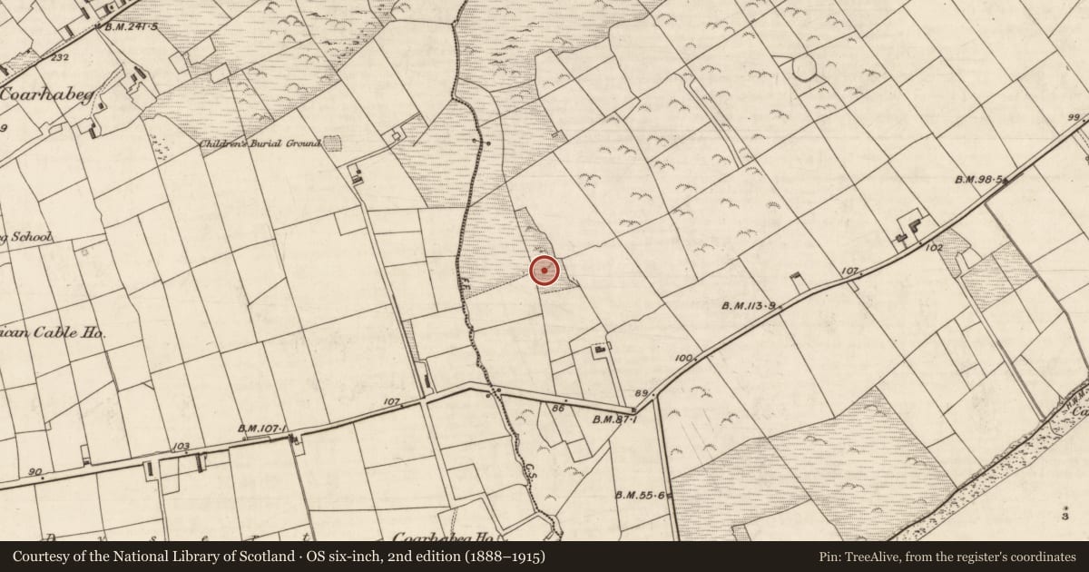 Ordnance Survey six-inch map, 2nd edition (1888–1915) covering the location of Enclosure, Coarha More, County Kerry, with a pin at the register's coordinates