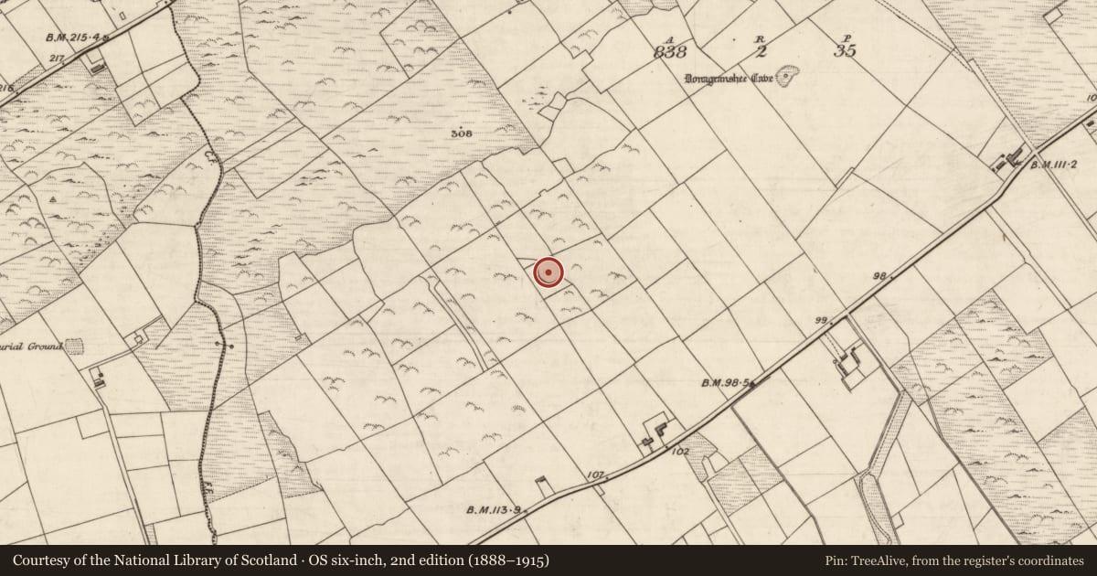 Ordnance Survey six-inch map, 2nd edition (1888–1915) covering the location of Ringfort - rath, Coarha More, County Kerry, with a pin at the register's coordinates