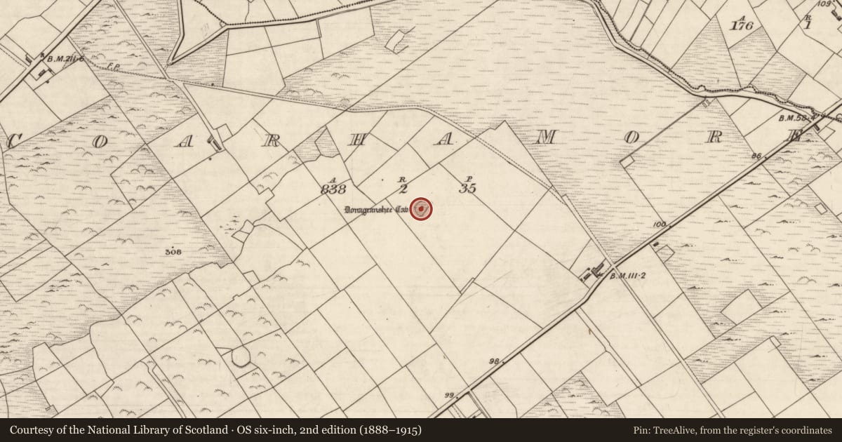 Ordnance Survey six-inch map, 2nd edition (1888–1915) covering the location of Ringfort - rath, Coarha More, County Kerry, with a pin at the register's coordinates