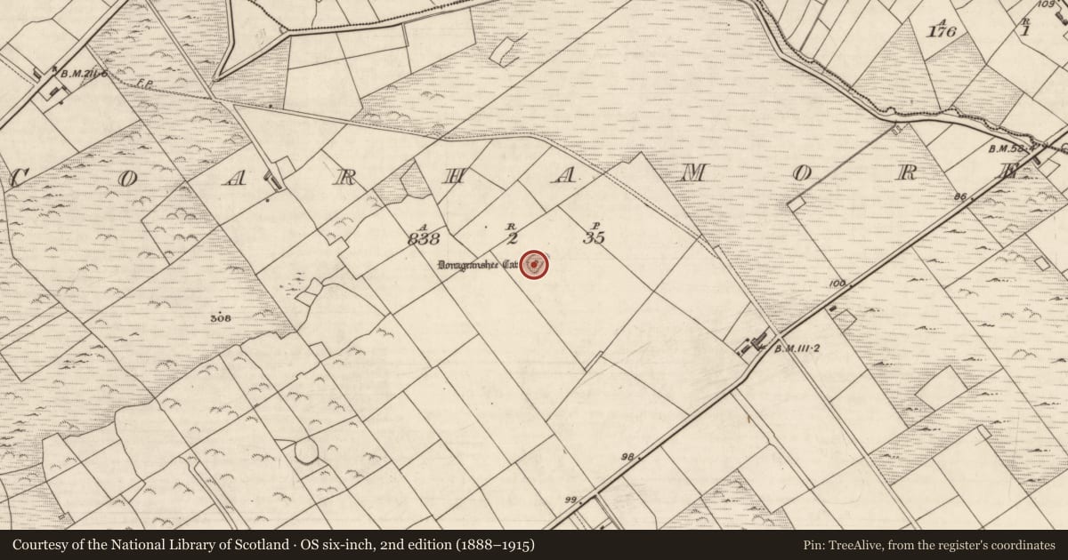 Ordnance Survey six-inch map, 2nd edition (1888–1915) covering the location of Souterrain, Coarha More, County Kerry, with a pin at the register's coordinates