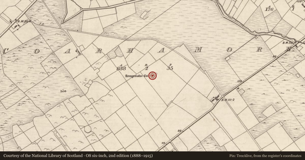 Ordnance Survey six-inch map, 2nd edition (1888–1915) covering the location of Hut site, Coarha More, County Kerry, with a pin at the register's coordinates
