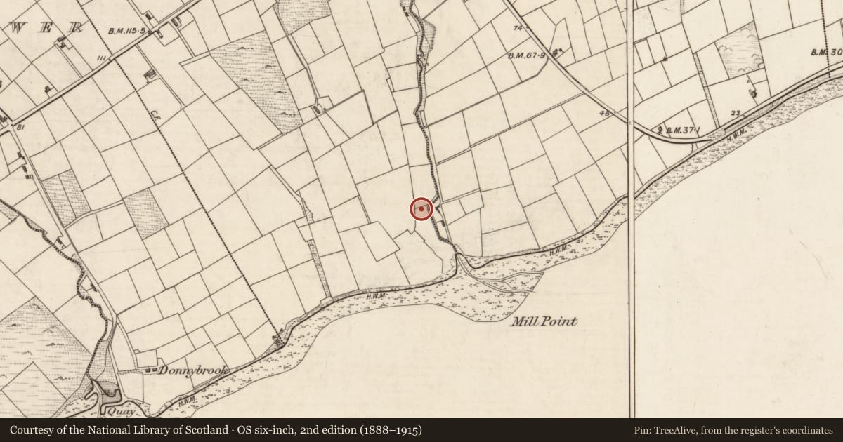 Ordnance Survey six-inch map, 2nd edition (1888–1915) covering the location of Church, Tinnies Lower East, County Kerry, with a pin at the register's coordinates