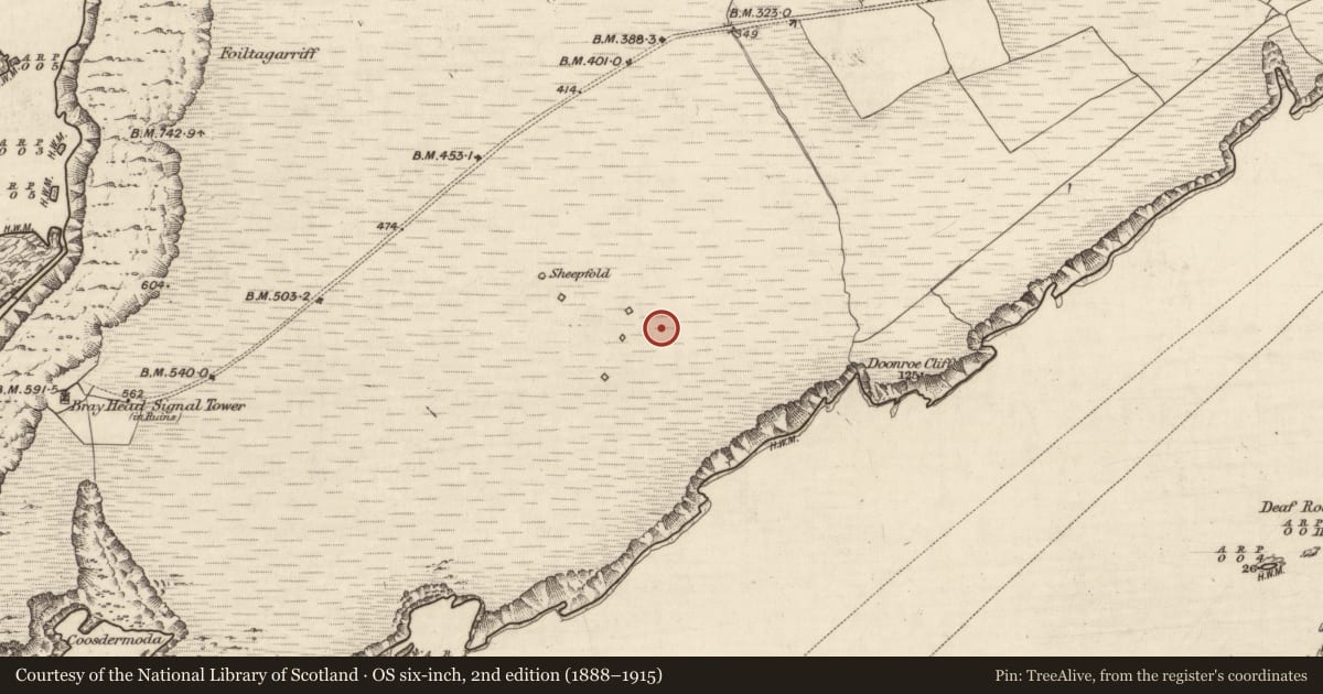 Ordnance Survey six-inch map, 2nd edition (1888–1915) covering the location of Cultivation ridges, Bray, County Kerry, with a pin at the register's coordinates