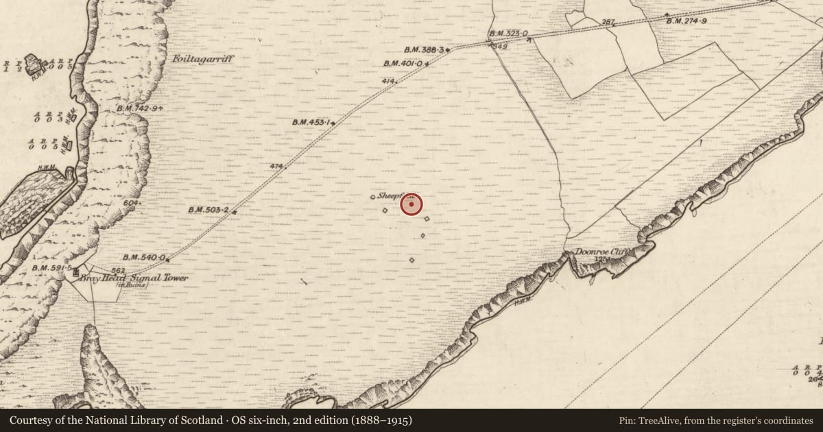 Ordnance Survey six-inch map, 2nd edition (1888–1915) covering the location of Field boundary, Bray, County Kerry, with a pin at the register's coordinates