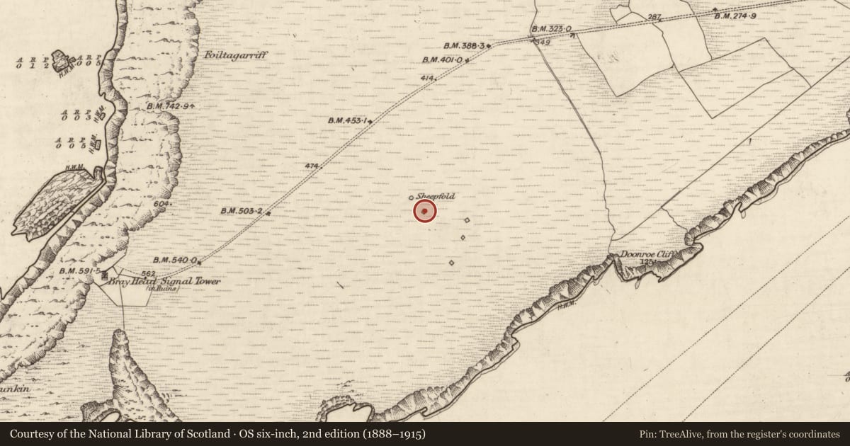 Ordnance Survey six-inch map, 2nd edition (1888–1915) covering the location of Hut site, Bray, County Kerry, with a pin at the register's coordinates