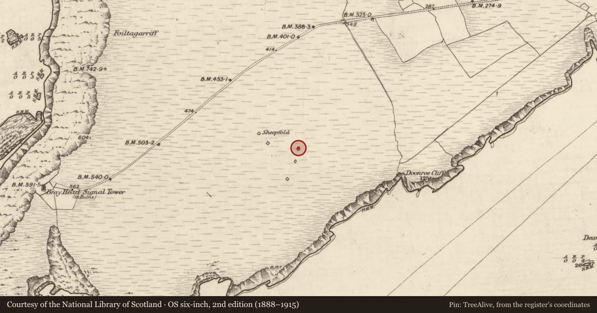 Ordnance Survey six-inch map, 2nd edition (1888–1915) covering the location of Cross-inscribed stone, Bray, County Kerry, with a pin at the register's coordinates