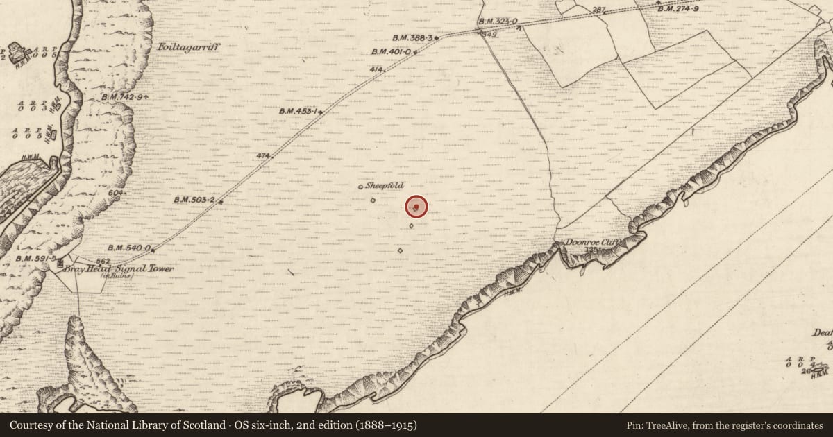 Ordnance Survey six-inch map, 2nd edition (1888–1915) covering the location of Cross-inscribed stone, Bray, County Kerry, with a pin at the register's coordinates