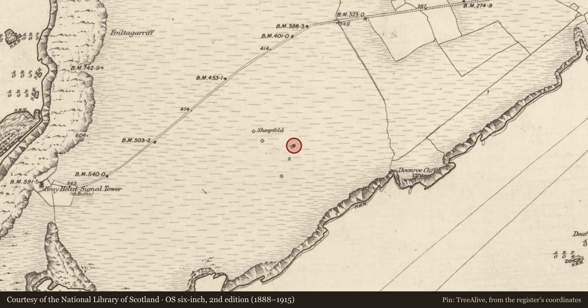 Ordnance Survey six-inch map, 2nd edition (1888–1915) covering the location of Cross-inscribed stone, Bray, County Kerry, with a pin at the register's coordinates