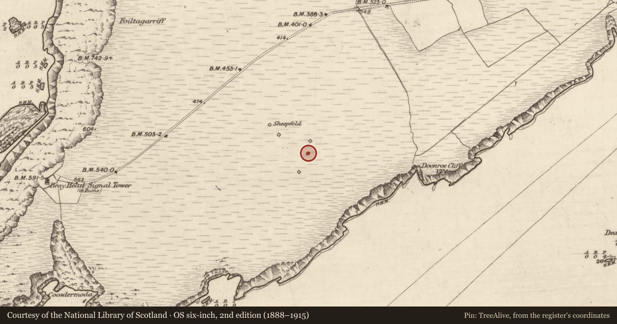 Ordnance Survey six-inch map, 2nd edition (1888–1915) covering the location of Hut site, Bray, County Kerry, with a pin at the register's coordinates