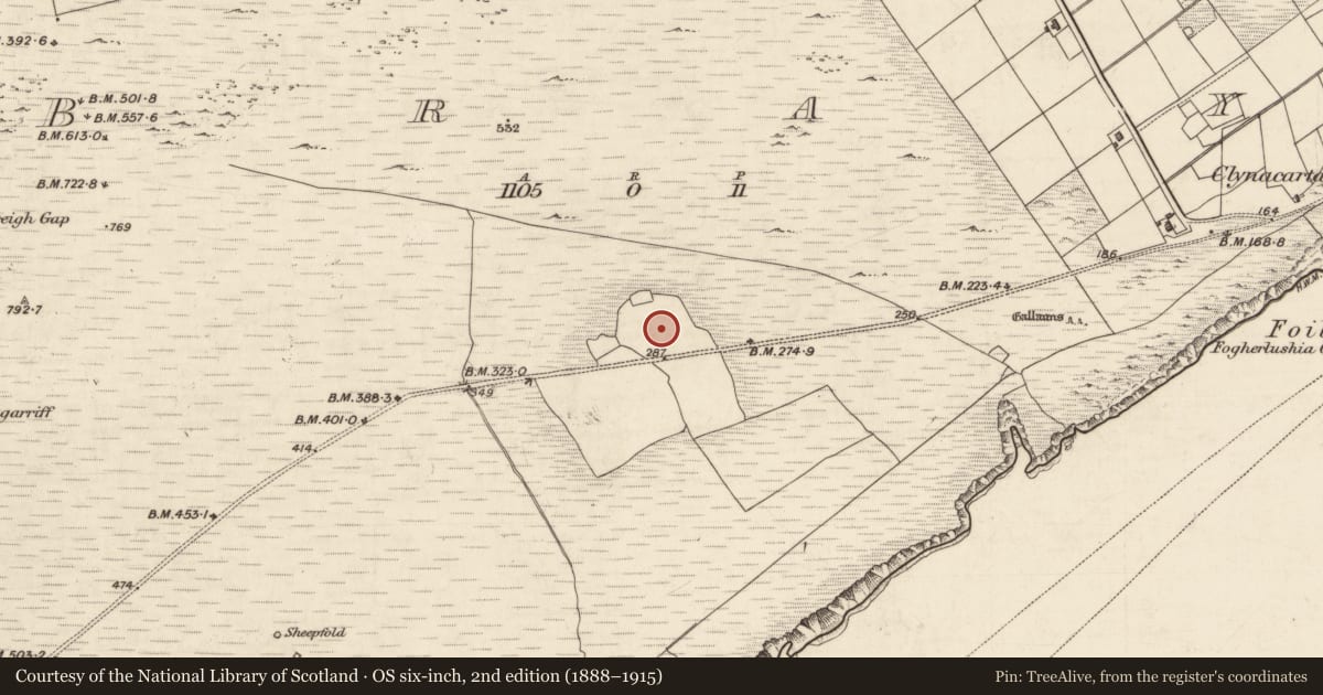 Ordnance Survey six-inch map, 2nd edition (1888–1915) covering the location of Enclosure, Bray, County Kerry, with a pin at the register's coordinates