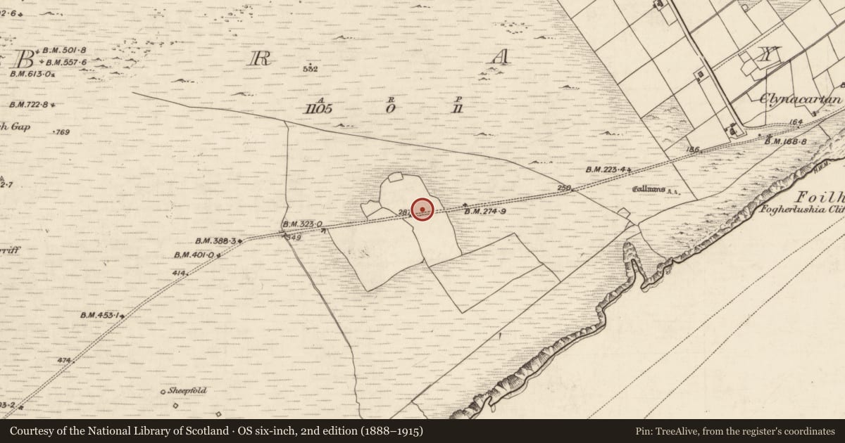 Ordnance Survey six-inch map, 2nd edition (1888–1915) covering the location of Enclosure, Bray, County Kerry, with a pin at the register's coordinates