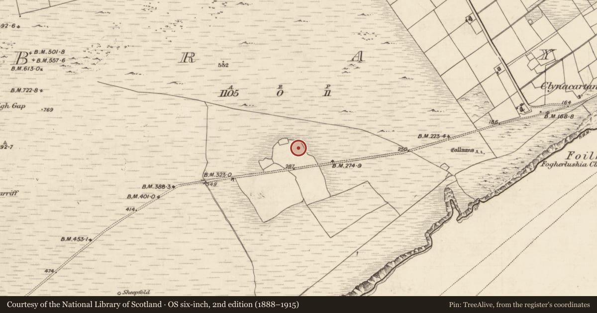 Ordnance Survey six-inch map, 2nd edition (1888–1915) covering the location of Cultivation ridges, Bray, County Kerry, with a pin at the register's coordinates