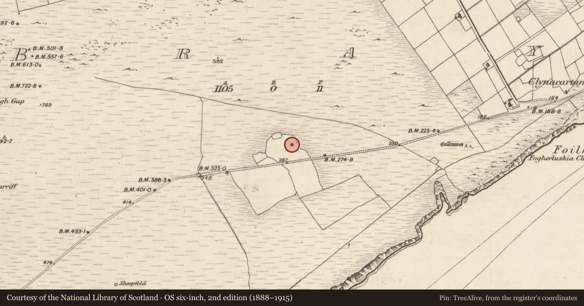 Ordnance Survey six-inch map, 2nd edition (1888–1915) covering the location of House - early medieval, Bray, County Kerry, with a pin at the register's coordinates