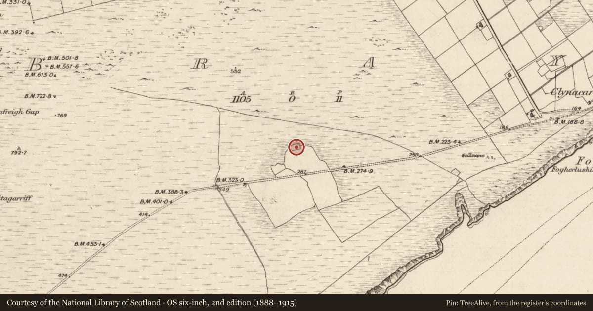 Ordnance Survey six-inch map, 2nd edition (1888–1915) covering the location of Enclosure, Bray, County Kerry, with a pin at the register's coordinates
