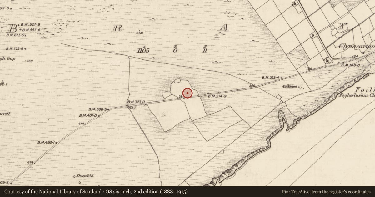 Ordnance Survey six-inch map, 2nd edition (1888–1915) covering the location of Kiln - corn-drying, Bray, County Kerry, with a pin at the register's coordinates