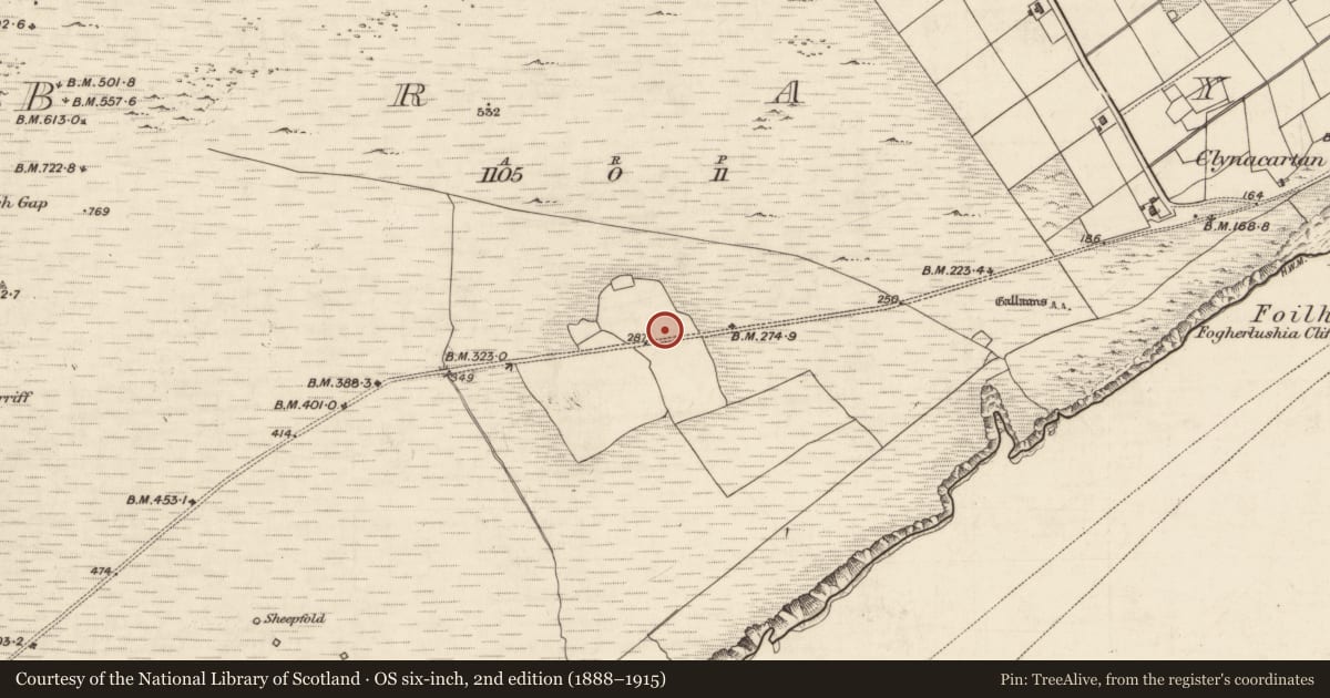 Ordnance Survey six-inch map, 2nd edition (1888–1915) covering the location of House - early medieval, Bray, County Kerry, with a pin at the register's coordinates