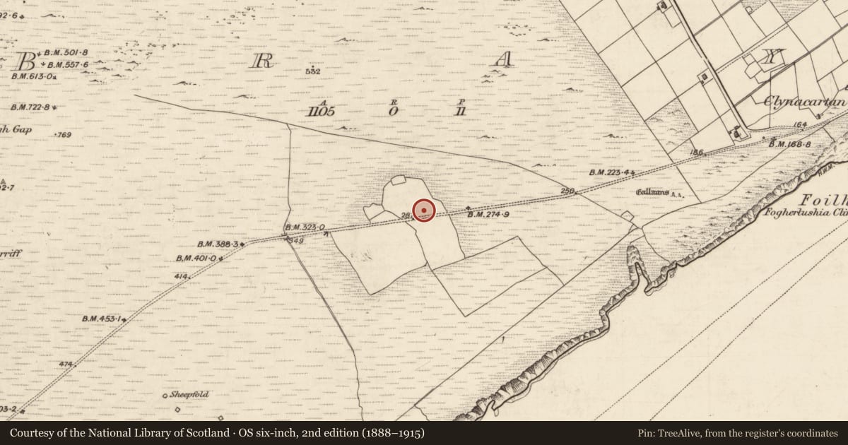 Ordnance Survey six-inch map, 2nd edition (1888–1915) covering the location of Souterrain, Bray, County Kerry, with a pin at the register's coordinates