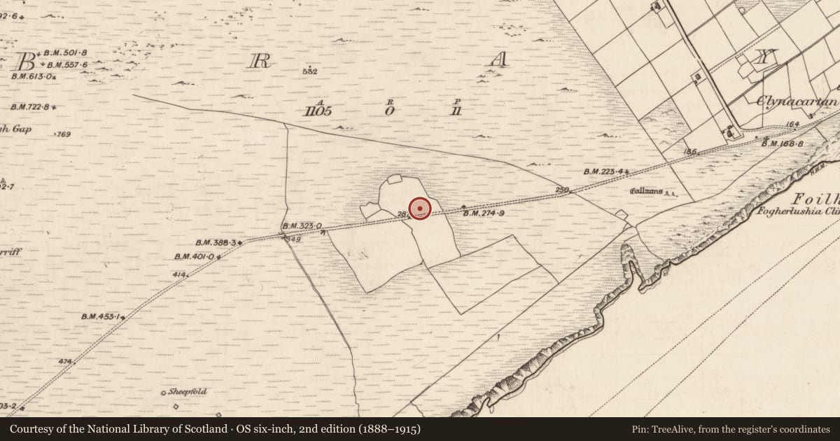 Ordnance Survey six-inch map, 2nd edition (1888–1915) covering the location of House - early medieval, Bray, County Kerry, with a pin at the register's coordinates