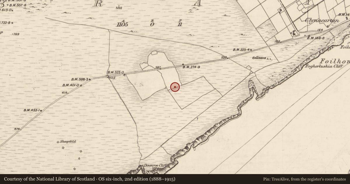 Ordnance Survey six-inch map, 2nd edition (1888–1915) covering the location of Field system, Bray, County Kerry, with a pin at the register's coordinates
