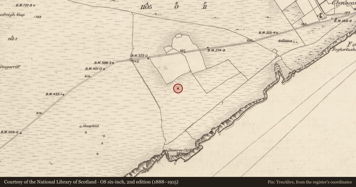 Ordnance Survey six-inch map, 2nd edition (1888–1915) covering the location of Hut site, Bray, County Kerry, with a pin at the register's coordinates