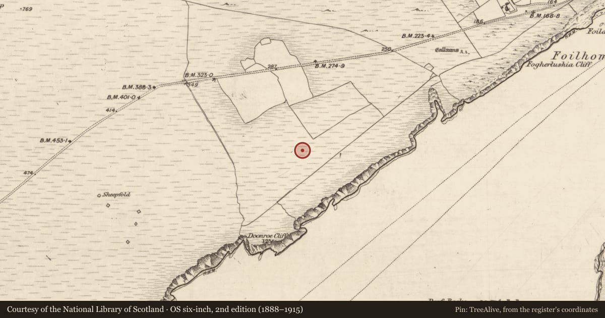 Ordnance Survey six-inch map, 2nd edition (1888–1915) covering the location of Hut site, Bray, County Kerry, with a pin at the register's coordinates