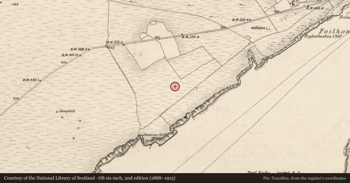 Ordnance Survey six-inch map, 2nd edition (1888–1915) covering the location of Hut site, Bray, County Kerry, with a pin at the register's coordinates