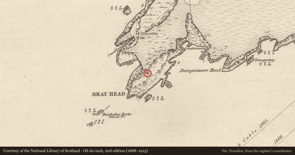 Ordnance Survey six-inch map, 2nd edition (1888–1915) covering the location of Hut site, Bray, County Kerry, with a pin at the register's coordinates