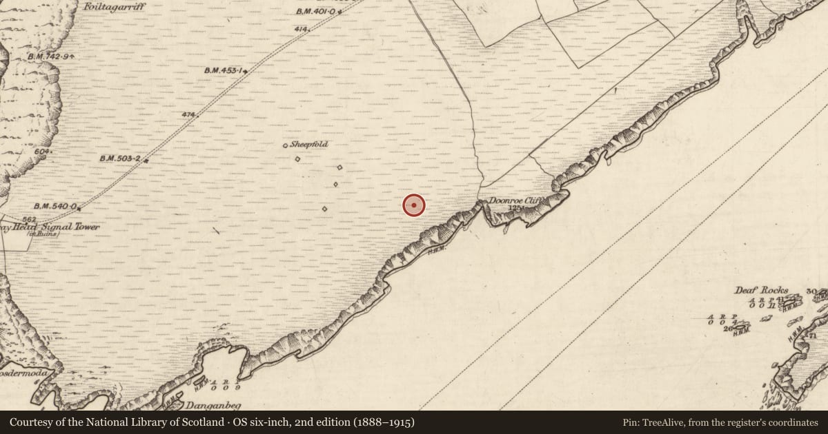 Ordnance Survey six-inch map, 2nd edition (1888–1915) covering the location of Kiln - corn-drying, Bray, County Kerry, with a pin at the register's coordinates