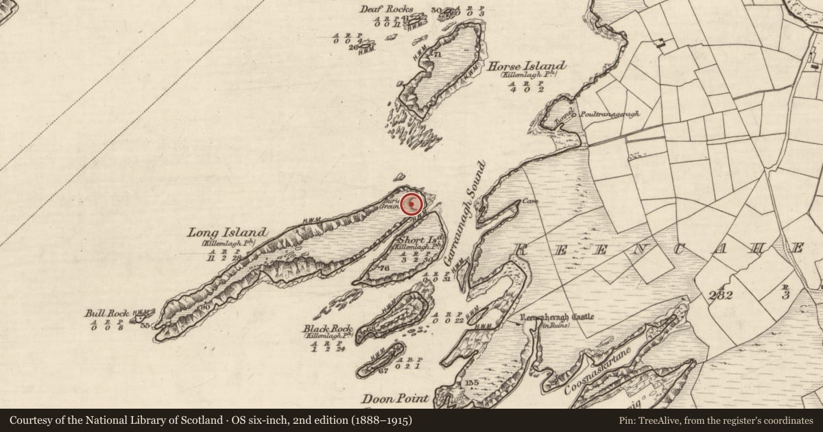 Ordnance Survey six-inch map, 2nd edition (1888–1915) covering the location of Hut site, Long Island, County Kerry, with a pin at the register's coordinates