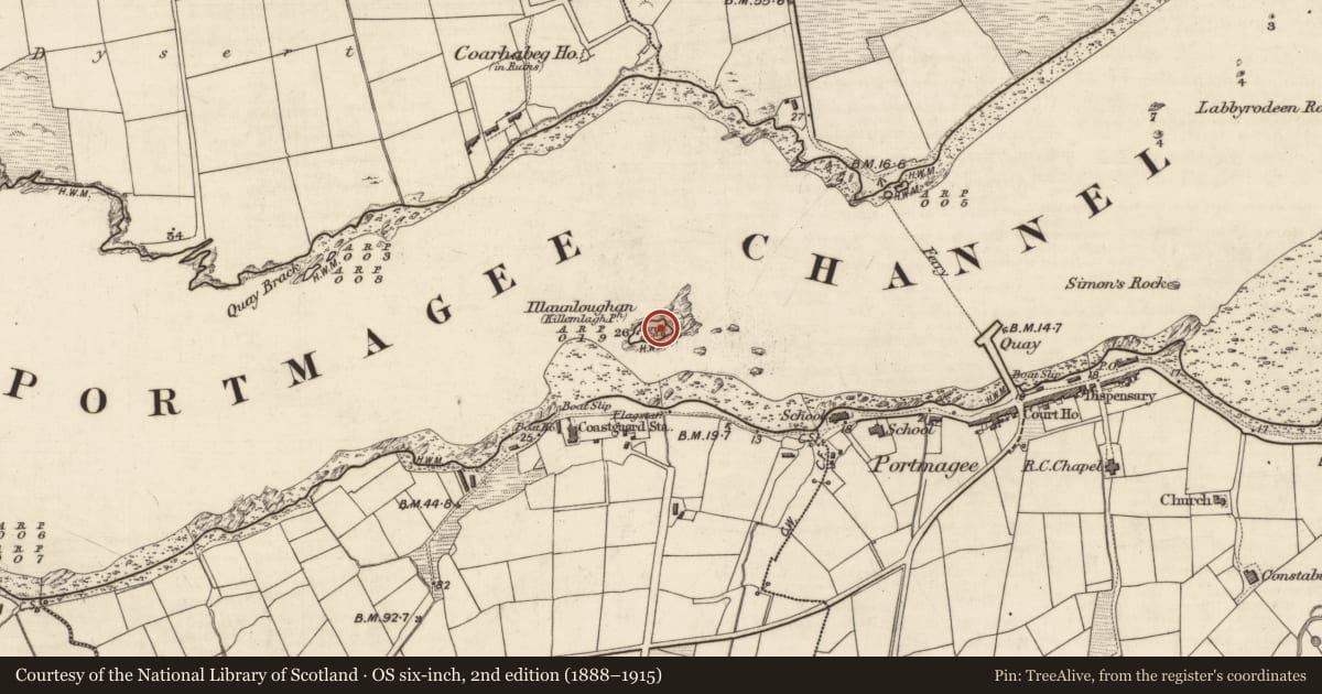 Ordnance Survey six-inch map, 2nd edition (1888–1915) covering the location of Graveyard, Illaunloughan, Portmagee, County Kerry, with a pin at the register's coordinates