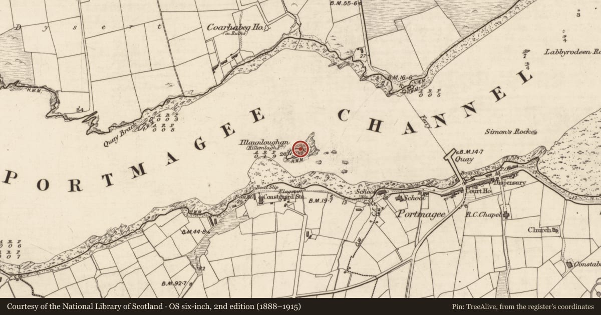 Ordnance Survey six-inch map, 2nd edition (1888–1915) covering the location of Shrine, Illaunloughan, Portmagee, County Kerry, with a pin at the register's coordinates